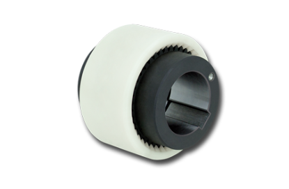 تصویر  Gear Couplings RDZ … EEO